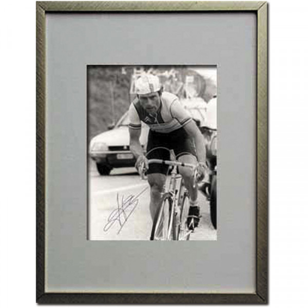 Hinault, Bernard: Originalautograph im Rahmen