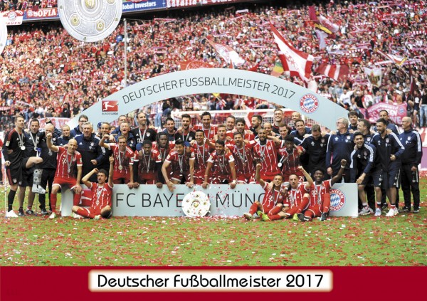 Deutscher Meister 2017