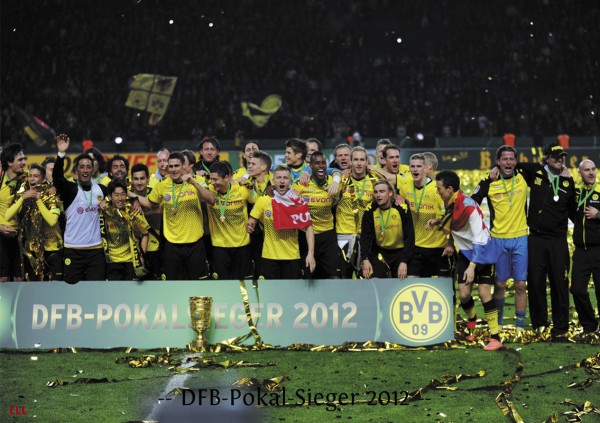 German Cup Winner 2012