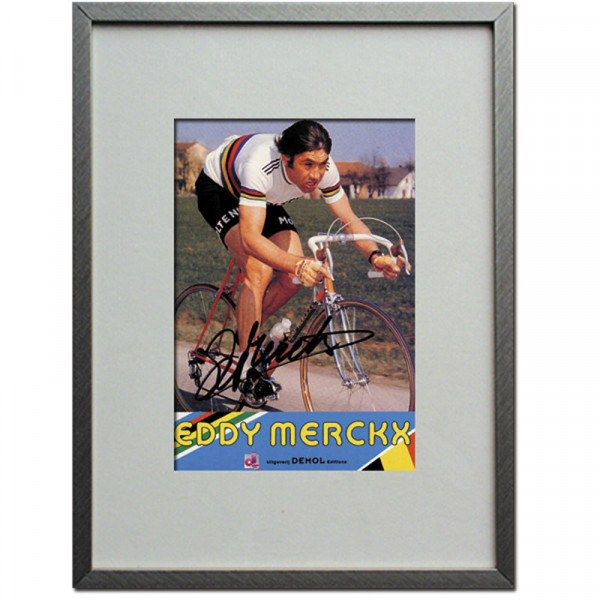 Merckx, Eddy: Original Autograph im Rahmen