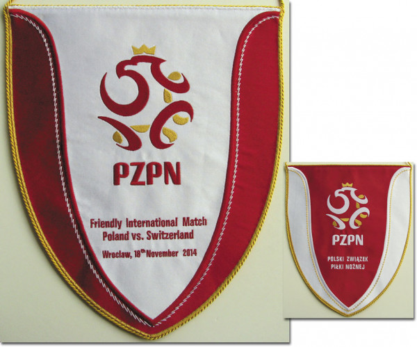 Pennant friendly match 2014 Poland v Switzerland